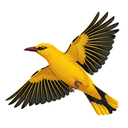 Oriole Themes